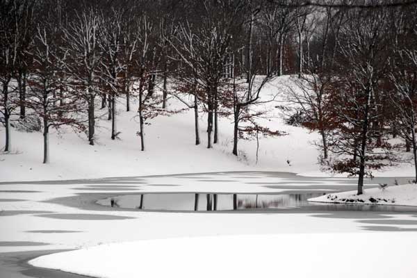 Lake in winter Image 4558.