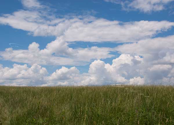 Pasture and sky.