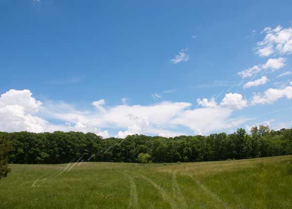 Pasture and sky.