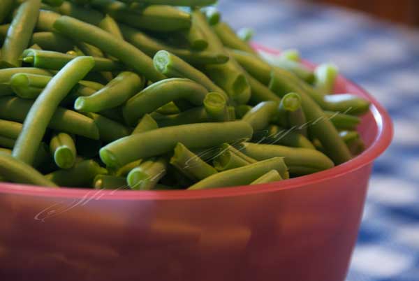 Fresh, snapped green beans, from a garden, in a bowl
