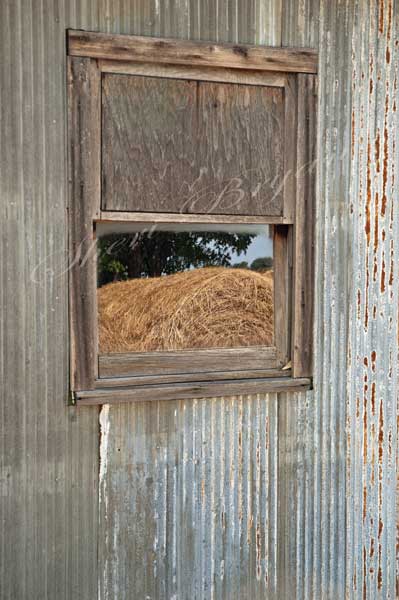 Reflection of a large round hay bale in the window of a tin shed