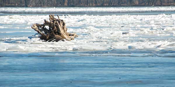 Ice and driftwood on the Mississippi River along the Missouri border