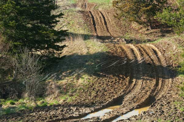 Muddy rutted pasture road in the spring outlined by electric polywire fence