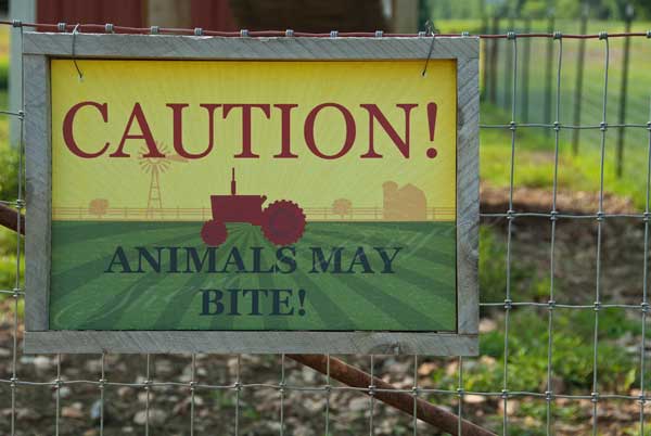 Caution Animals May Bite warning sign on a woven wire fence  Barn scene with a tractor