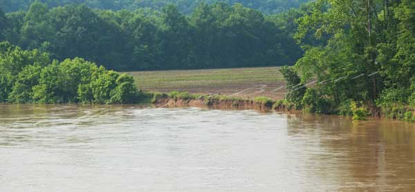 Muddy Gasconade River in Missouri flooding into farmland