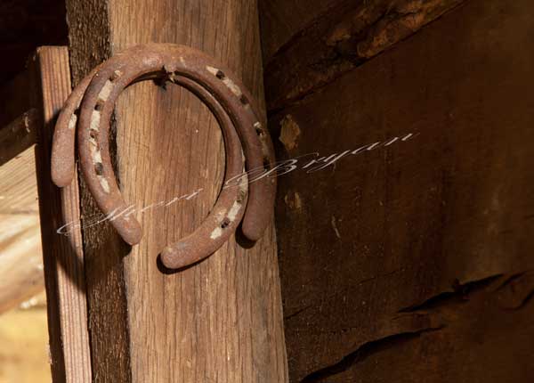 Two rusty horseshoes hanging on a nail in a barn
